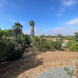 view from my site