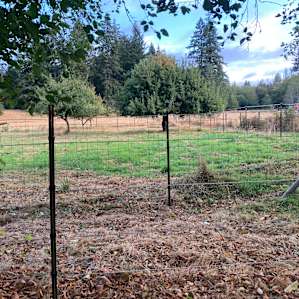 View of the property from the pump house camp location