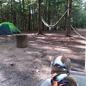 Hidden Pond Campsite