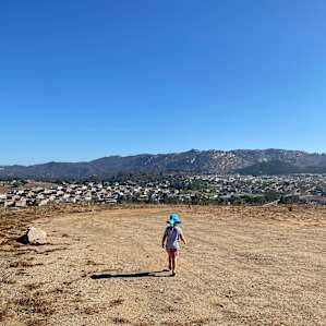 Site 1 views