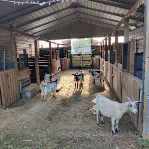 Sunset Hill Farm Rv camping
