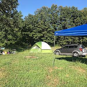 The tree coverage made it seem like a private campground.