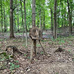 BRX01, a private peaceful site.