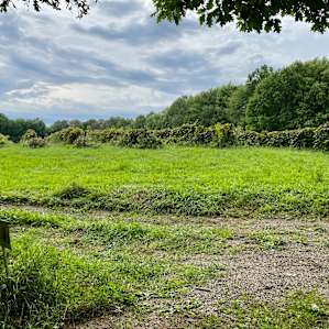 BRX01, a private peaceful site.