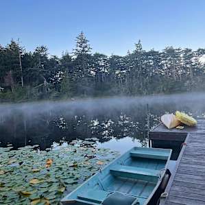 Turquoise boat & kayaks on dock with yet-furled water lilies & lily pads in the glass-like water with mist rising into the trees and blue skies