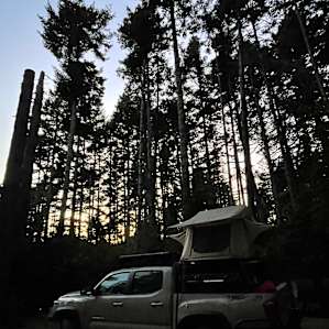 The campsite with trees rising against the sunset