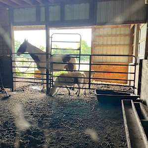 Serenity Fields Farm