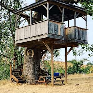 Treehouse in the Valley