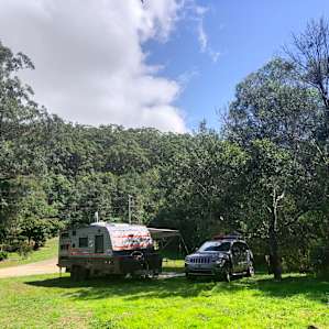 The Bird Nest, Yandina Creek