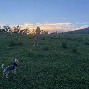 Periwinkle Branch Family Farm