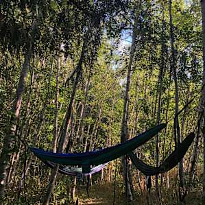 Hammock set up by the pond