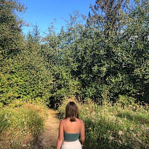 Trails around the site