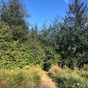 On the short trail from parking to the campsite
