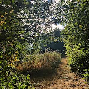 On the short trail from parking to the campsite