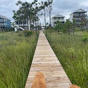 Beachside Serenity at Cape San Blas