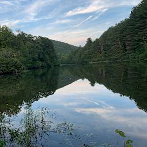 Cannon Lake Private Woodland