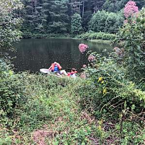 Cannon Lake Private Woodland