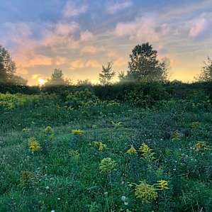 Sunny Knolls Tenting and Camping