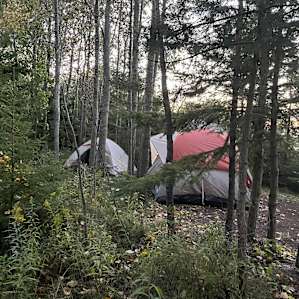 Site #2