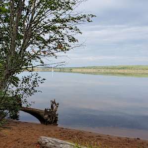 View from the site.