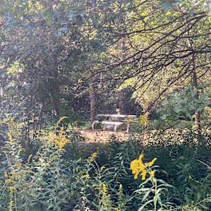 Gypsy camp 2