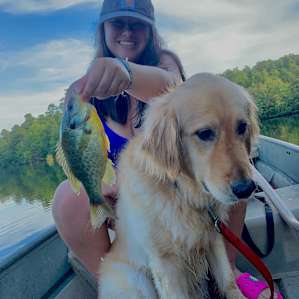 Our dog was scared of the fish