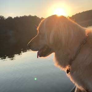 Lakeside Paradise & Great Sunsets