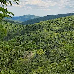 View of the Blue Ridge Mountains after climbing to the top of Raven Cliff Falls.