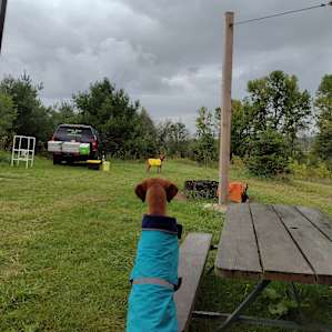 A little rain doesn't stop us!