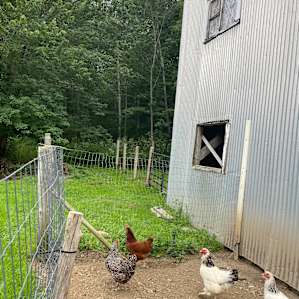 Continuous Harmony Farm Camp