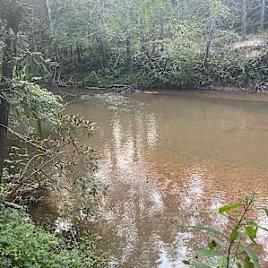 Adin`s river cabins