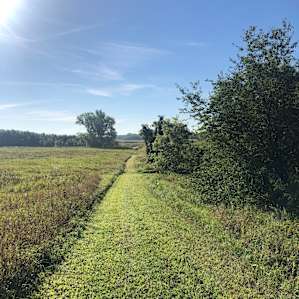 North Ridge Pines (The River Farm)