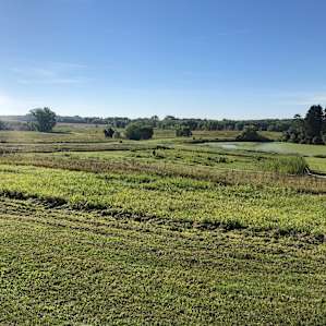 North Ridge Pines (The River Farm)