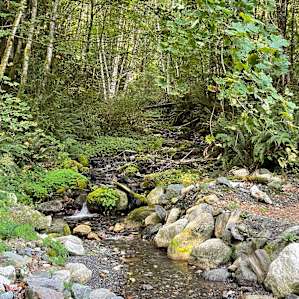 The gurgling creek that provided fresh water that is clean and sweet and provided beautiful music as it flowed past
