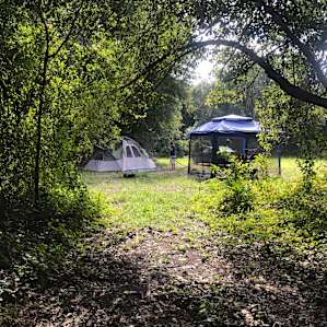 Camp Catfish