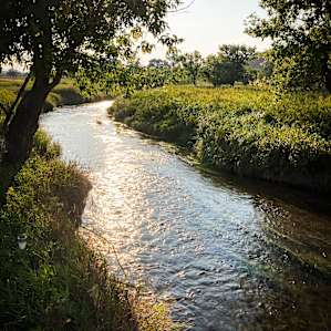 Redwater Revival Campground