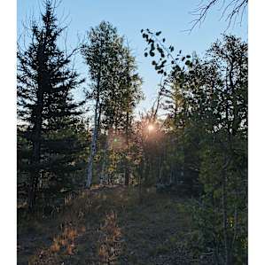 South Park Forest and Plains