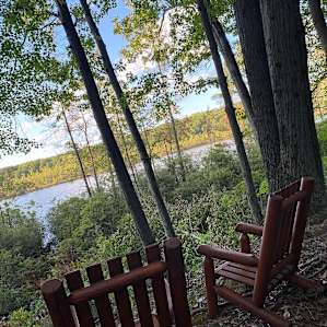 Barred Owl Forest Tent Camping