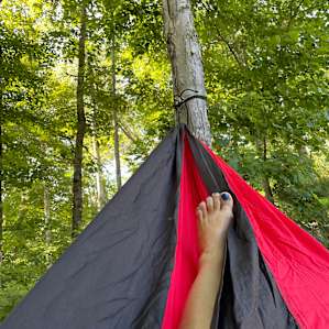 Hammock city!