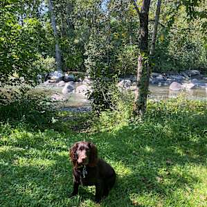 Onion River Campground