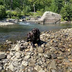 Onion River Campground