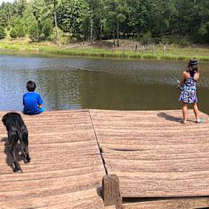 fishing for bass