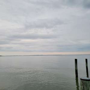 Sunset Farms - Best on the bay.