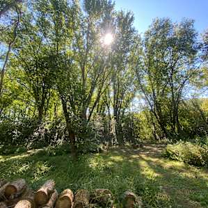 Whispering Willows Ranch