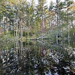 Camp Wilson on Long Pond