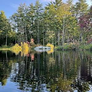 Camp Wilson on Long Pond