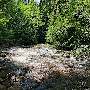Lovely Ricketts Glen hike only 20 minutes away
