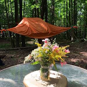 Scotch Forest tree tent for 3