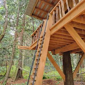 Bicycle Camping in the Island Woods