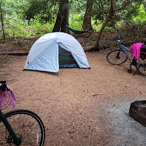 Bicycle Camping in the Island Woods